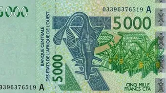ما هي عملة بوركينا فاسو