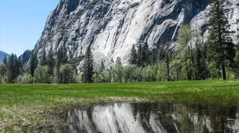 ما هو تعريف النظام البيئي