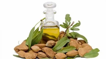 ما الفرق بين زيت اللوز الحلو والمر