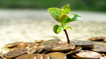 ما هو الوقف في الاسلام