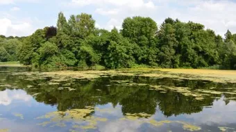 ما المقصود بالبيئة