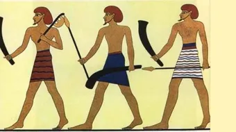 ما هو اول حصار في التاريخ