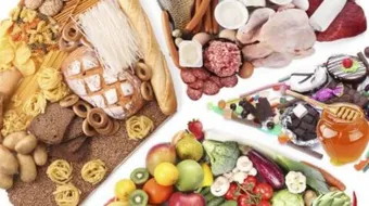 ما المقصود بالحصة الغذائية