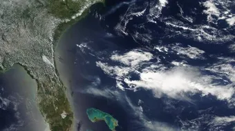 ما هو البحر الأخضر