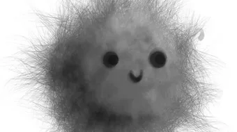 ما هو كيس الشعر