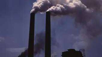 ما هي أضرار تلوث البيئة