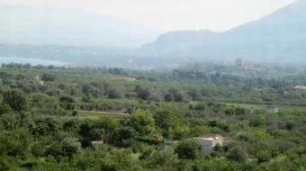 ما أهمية تنوع المناخ في فلسطين