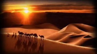 ما اهمية الهجرة النبوية بالنسبة للمسلمين