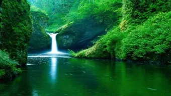 ما هو نهر الكوثر