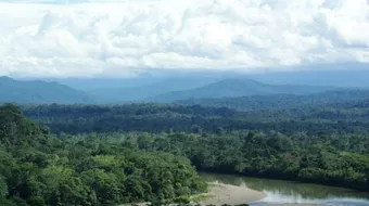 ما هو أكبر نهر في العالم