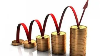 ما هي قائمة المركز المالي