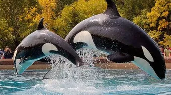 ما أطول الحيوانات عمراً