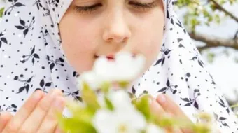 ما معنى الهداية