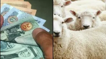 ما معنى صك الأضحية