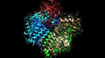 ما معنى كلمة انزيم