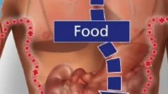 ما هي عملية الأيض