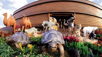 ما هي معجزة سيدنا نوح