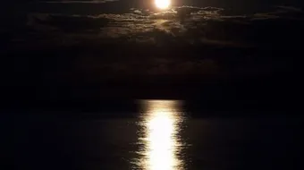 ما إسم ضوء القمر