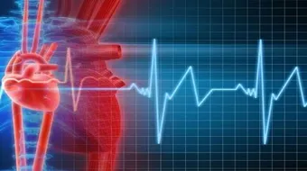 ما هو المعدل الطبيعي لضربات القلب