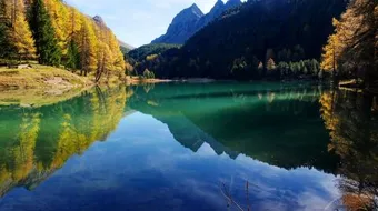 ما هي اللغة الرسمية في سويسرا