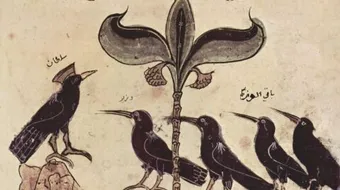 ما هو أصل كتاب كليلة ودمنة