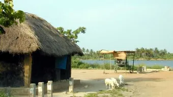 كم عدد سكان غانا