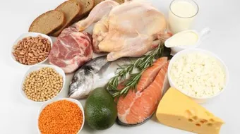 ما هو نظام رجيم البروتين