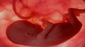 ما الغاية من خلق الانسان