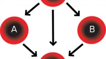 ما هي أندر فصيلة دم