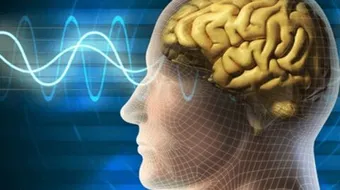 ما هو سبب كثرة النسيان