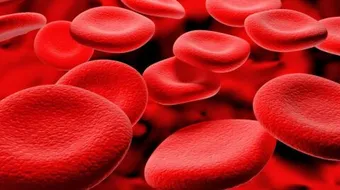 ما هو سبب ارتفاع عدد كريات الدم البيضاء