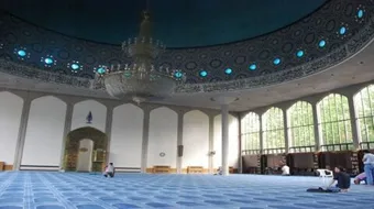 ما حكم صلاة تحية المسجد