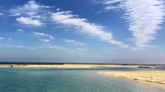 ما البحر الذي يفصل بين قارتين