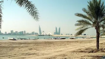 ما أصغر دولة عربية مساحة