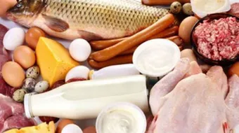 ما هو مصدر الفيتامينات