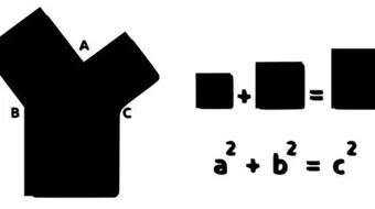 ما هي المساحة