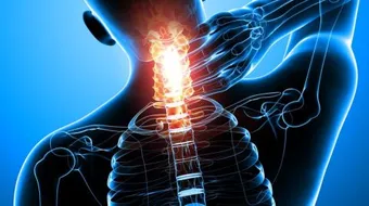 ما هو النخاع الشوكي