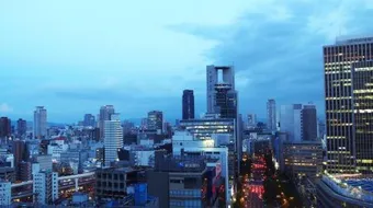 ما هو نظام الحكم في اليابان