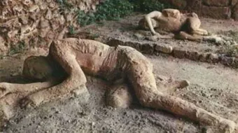 ما هو عذاب قوم ثمود