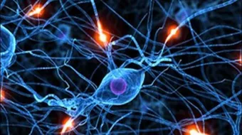 ما علاج ضعف الأعصاب