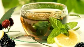 ما علاج البلغم للكبار