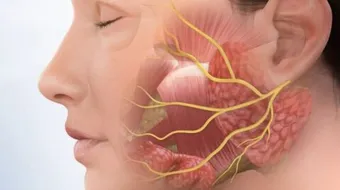 ما علاج العصب السابع