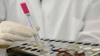 ما حقيقة فيروس كورونا