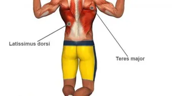 ما فائدة تمرين العقلة