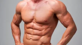 ما فائدة عضلات البطن