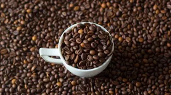 ما فائدة القهوة للجسم