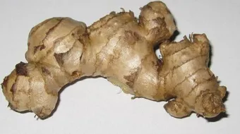 ما هي فائدة الزنجبيل