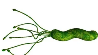 ما هي جرثومة الرحم