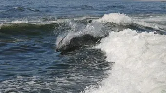 ما هو الطول الموجي