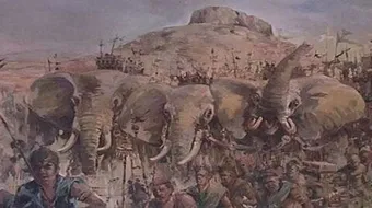 ما هو عام الفيل